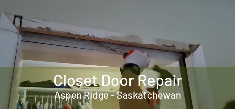 Closet Door Repair Aspen Ridge - Saskatchewan