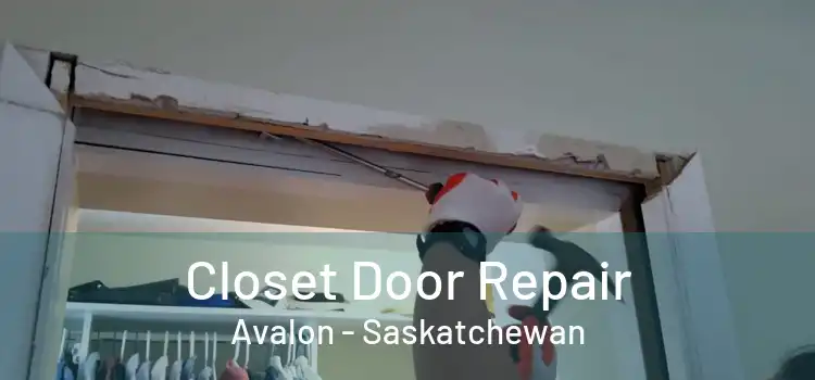 Closet Door Repair Avalon - Saskatchewan