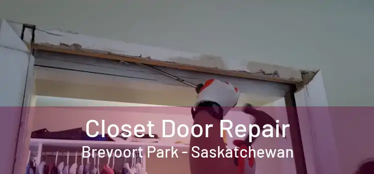 Closet Door Repair Brevoort Park - Saskatchewan