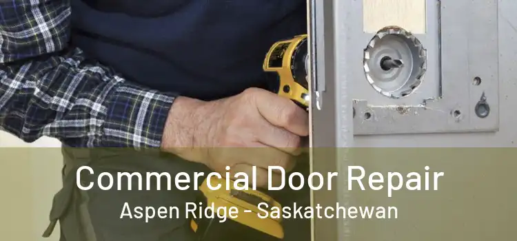 Commercial Door Repair Aspen Ridge - Saskatchewan