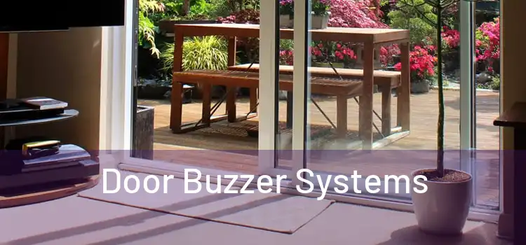 Door Buzzer Systems 