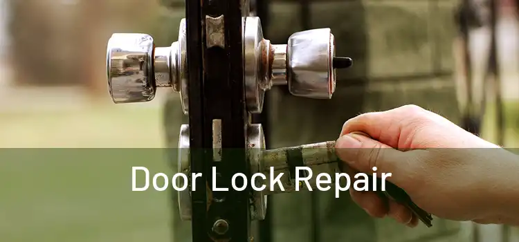 Door Lock Repair 