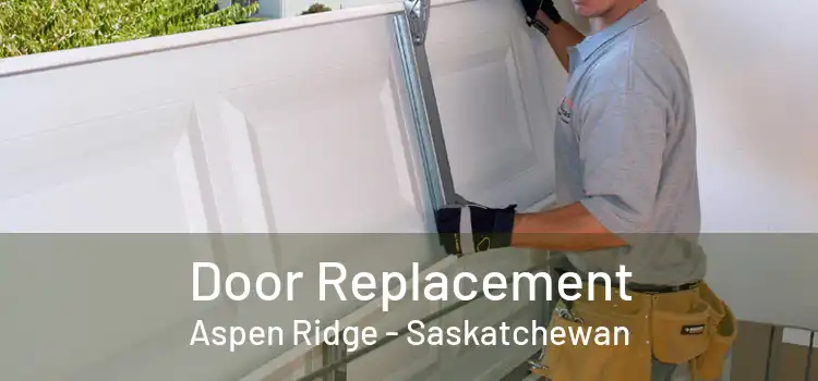 Door Replacement Aspen Ridge - Saskatchewan