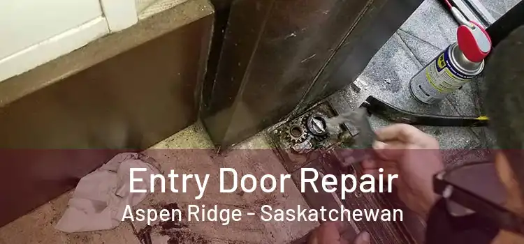 Entry Door Repair Aspen Ridge - Saskatchewan