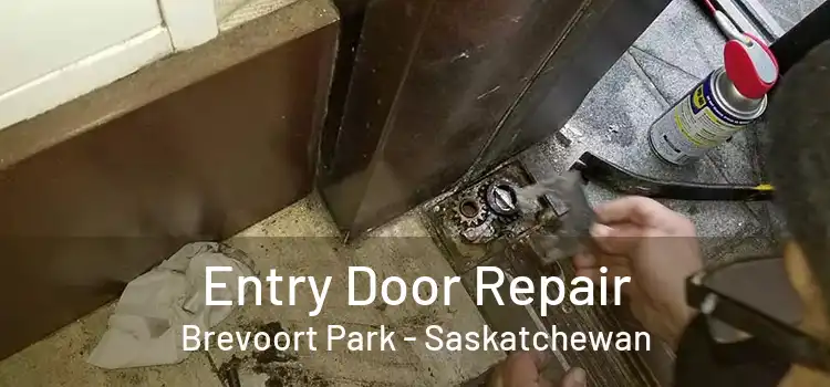 Entry Door Repair Brevoort Park - Saskatchewan