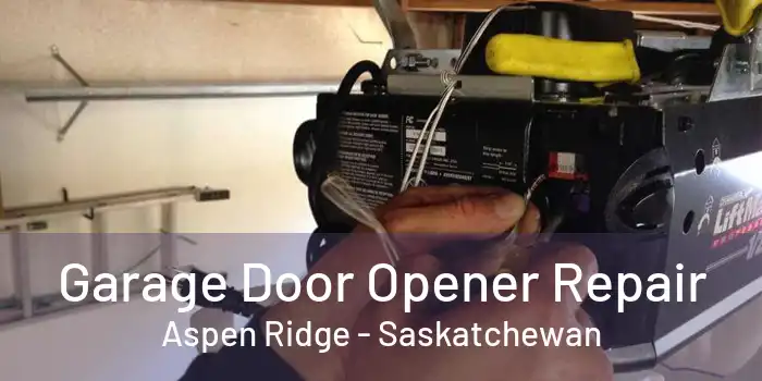 Garage Door Opener Repair Aspen Ridge - Saskatchewan