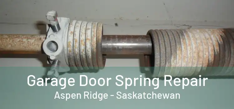 Garage Door Spring Repair Aspen Ridge - Saskatchewan