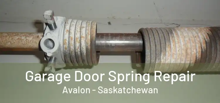 Garage Door Spring Repair Avalon - Saskatchewan