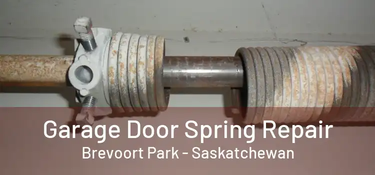 Garage Door Spring Repair Brevoort Park - Saskatchewan