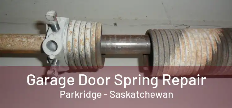 Garage Door Spring Repair Parkridge - Saskatchewan