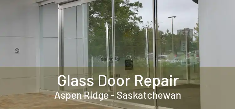 Glass Door Repair Aspen Ridge - Saskatchewan