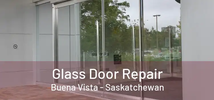 Glass Door Repair Buena Vista - Saskatchewan