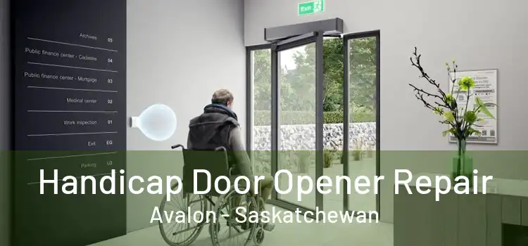 Handicap Door Opener Repair Avalon - Saskatchewan