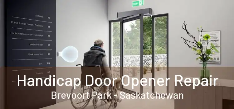 Handicap Door Opener Repair Brevoort Park - Saskatchewan