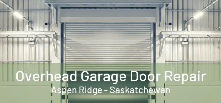 Overhead Garage Door Repair Aspen Ridge - Saskatchewan