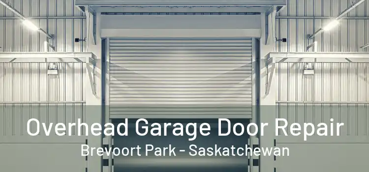 Overhead Garage Door Repair Brevoort Park - Saskatchewan