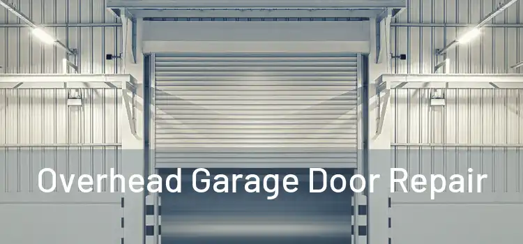 Overhead Garage Door Repair 