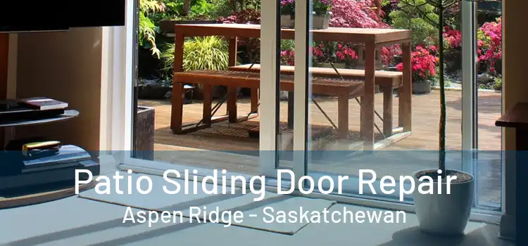 Patio Sliding Door Repair Aspen Ridge - Saskatchewan