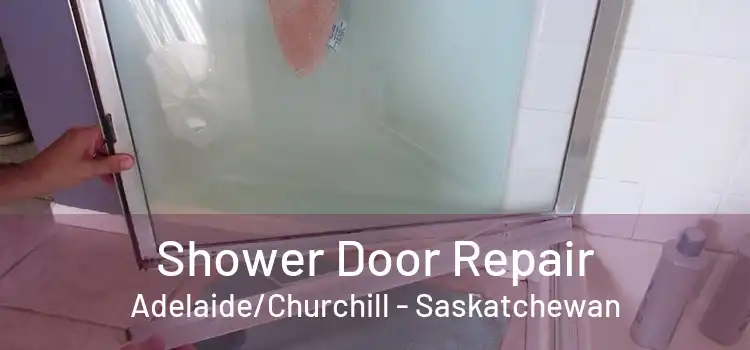 Shower Door Repair Adelaide/Churchill - Saskatchewan