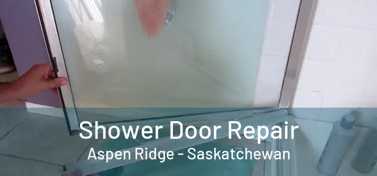 Shower Door Repair Aspen Ridge - Saskatchewan