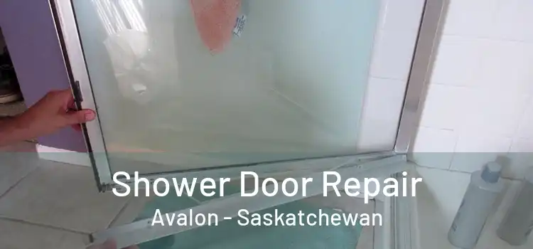 Shower Door Repair Avalon - Saskatchewan