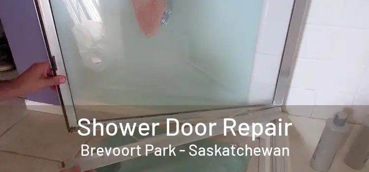 Shower Door Repair Brevoort Park - Saskatchewan