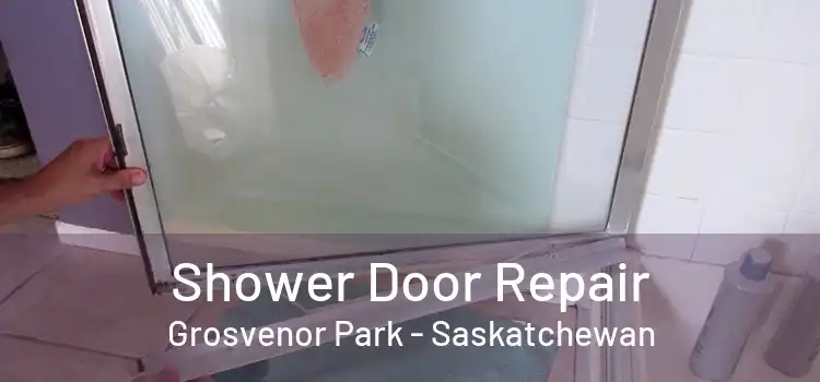 Shower Door Repair Grosvenor Park - Saskatchewan