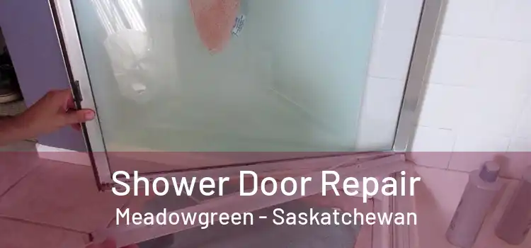 Shower Door Repair Meadowgreen - Saskatchewan