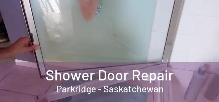 Shower Door Repair Parkridge - Saskatchewan