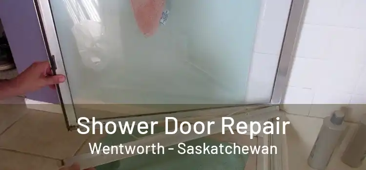 Shower Door Repair Wentworth - Saskatchewan