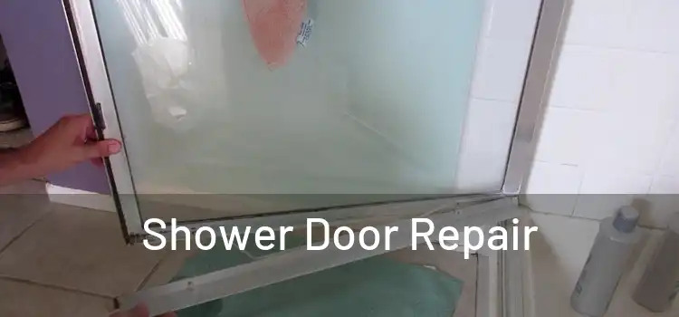 Shower Door Repair 