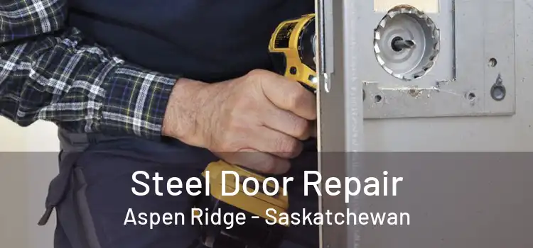 Steel Door Repair Aspen Ridge - Saskatchewan