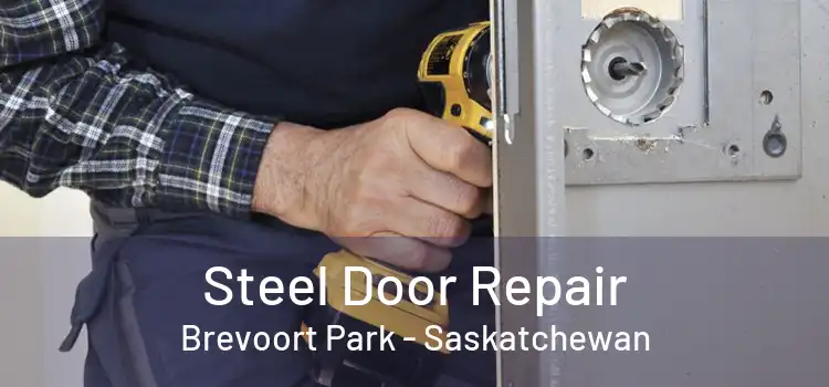 Steel Door Repair Brevoort Park - Saskatchewan