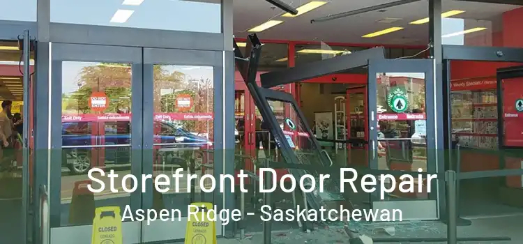 Storefront Door Repair Aspen Ridge - Saskatchewan