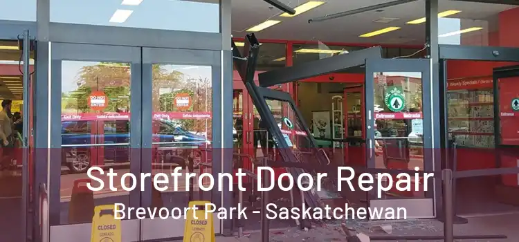 Storefront Door Repair Brevoort Park - Saskatchewan