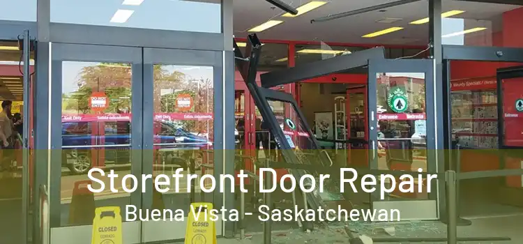 Storefront Door Repair Buena Vista - Saskatchewan