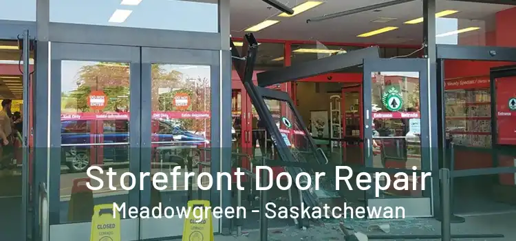 Storefront Door Repair Meadowgreen - Saskatchewan